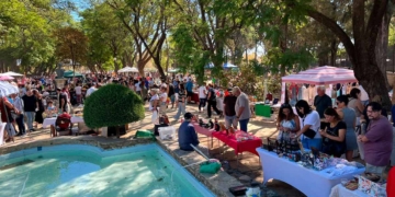 rastrillo-jerez-domingos